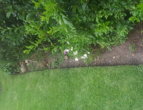 JARDINERIA-01