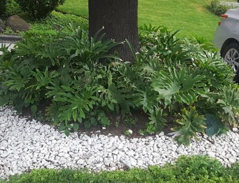 JARDINERIA-03