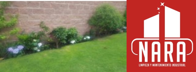 SERVICIO DE JARDINERIA